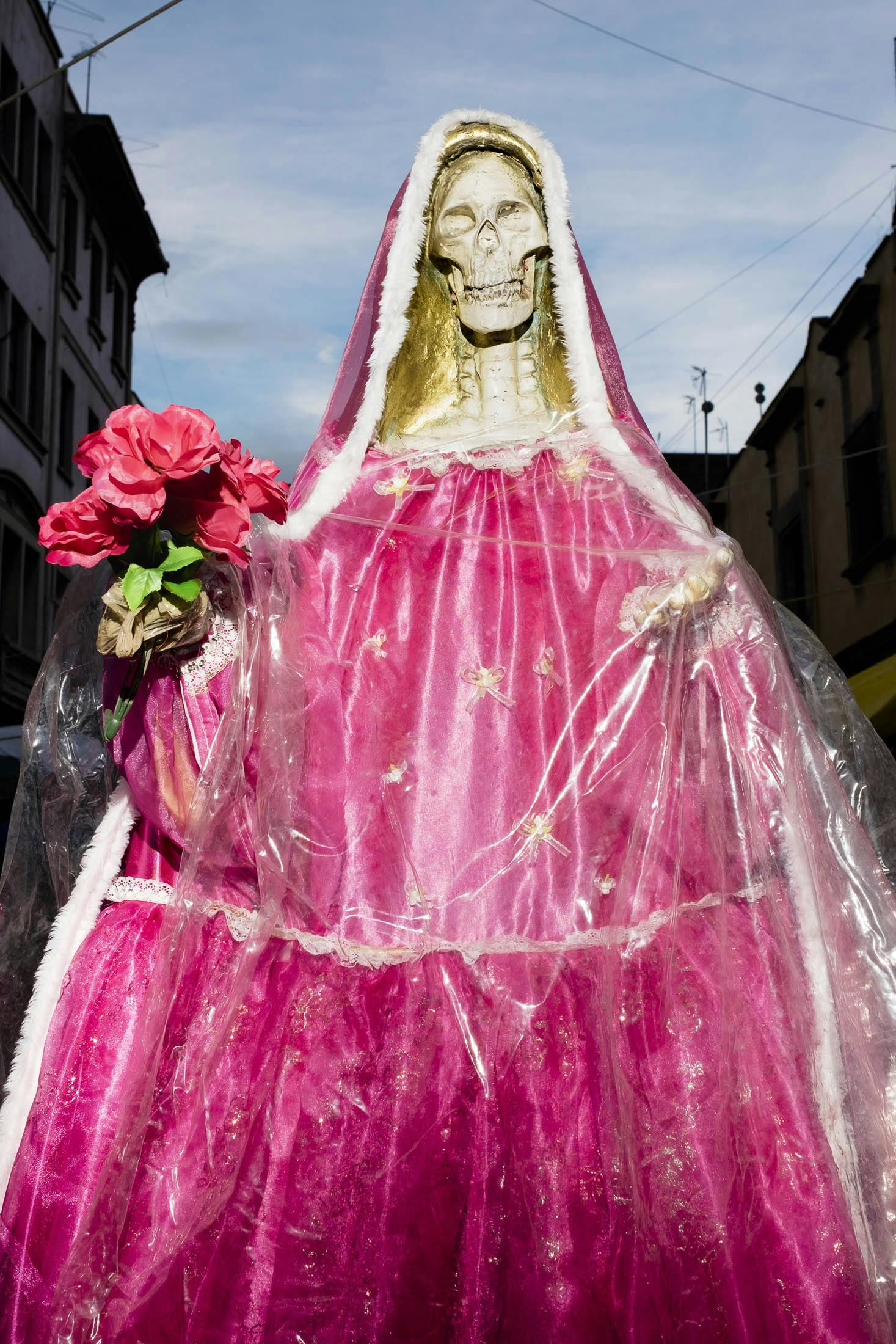 Pink skeleton day of the dead holding roses in Mexico