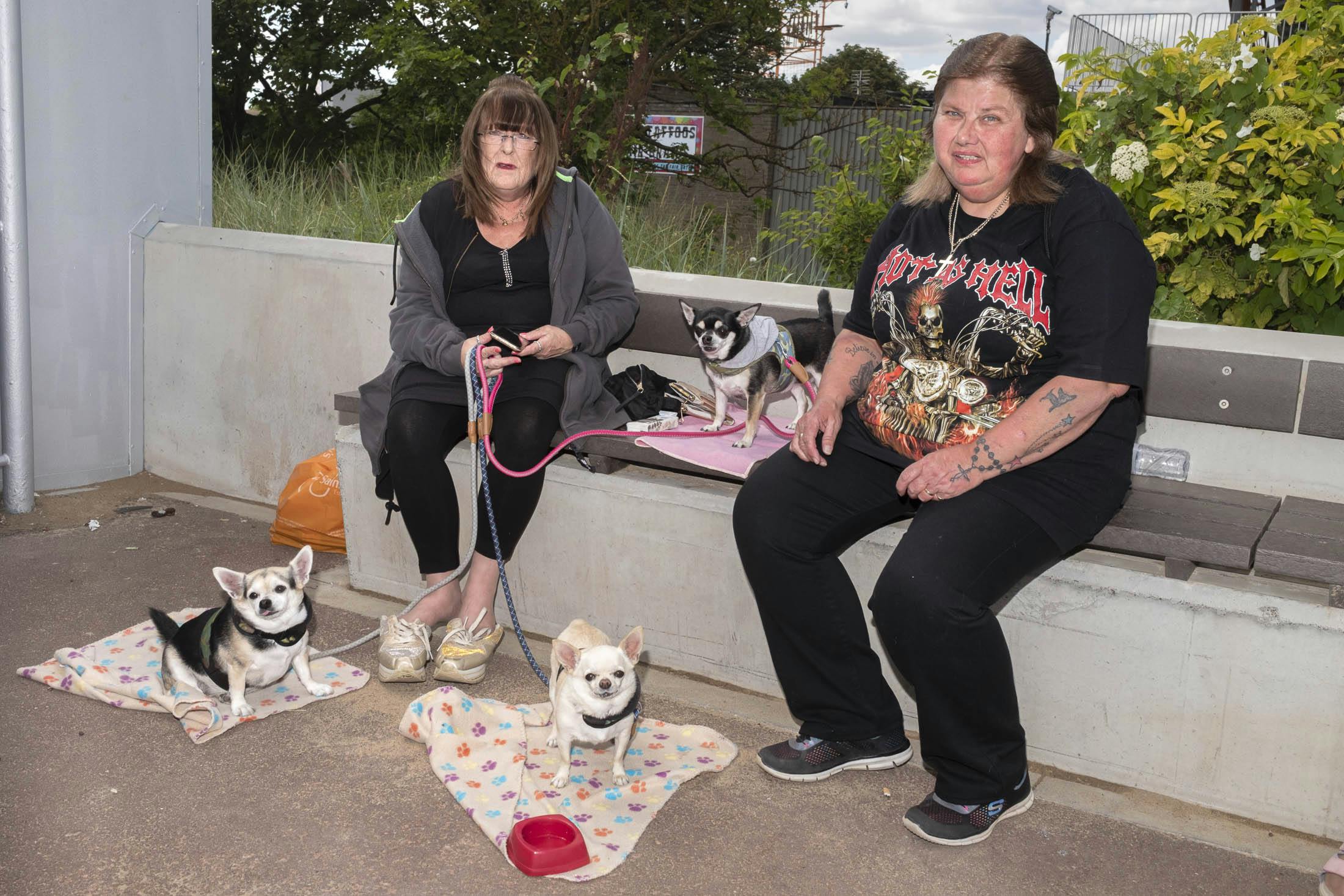 Two women with three Chihuahuas on Skegness sea front England